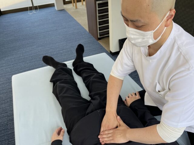 そもそも骨盤ってなんなの？